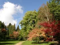 Batsford-Arboretum-B.jpg