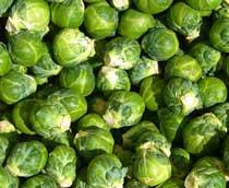 Brussels-Sprout-B.jpg