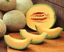 Cantaloupe-Melon-B.jpg