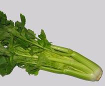 Celery-B.jpg