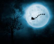 Christmas-Reindeer-B.jpg