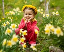 Flower-daffodil-B.jpg