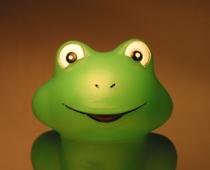 Frogs-8-s.jpg