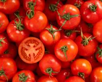 Line-Tomato-B.jpg