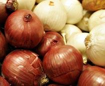 Onion-B.jpg