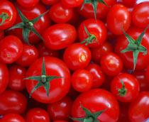 Tomato-B.jpg