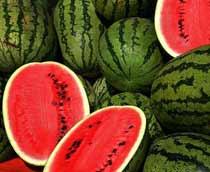 Watermelon-B.jpg