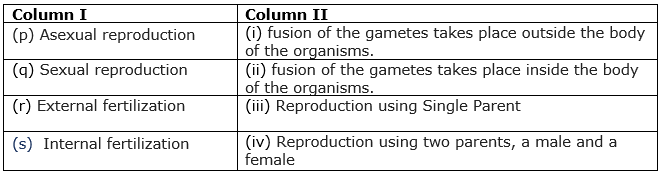 class8-science-chapter-9-mcq-1.png
