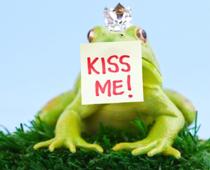 k-frog-B.jpg